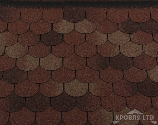 Гибкая черепица Roofshield  серия Family Light коллекция Готик цвет Терракота