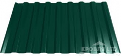 Профнастил С20, Полиэстер RAL 6005 зеленый мох, толщина 0,45