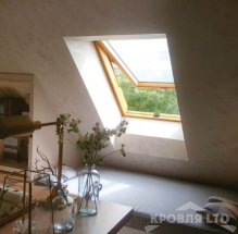 Окно мансардное  FAKRO FTP -V (CH) top-hung 55х98