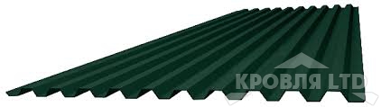 Профнастил С21, Полиэстер RAL 6005 зеленый мох, толщина 0,7